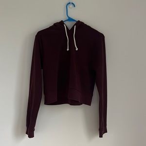 Small Threads for Thought burgundy cropped hoodie